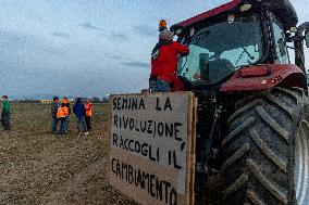 Farmers' Protest In Turin