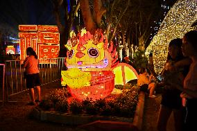 MALAYSIA-SELANGOR-LANTERN SHOW