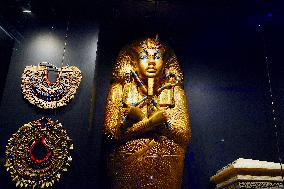 The Tutankhamun Exhibition - Strasbourg