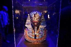 The Tutankhamun Exhibition - Strasbourg