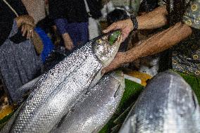 The Milkfish Market Ahead Chinese New Year