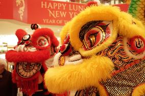 U.S.-CALIFORNIA-ORANGE COUNTY-LUNAR NEW YEAR-CELEBRATION