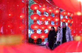 Chinese Celebrate Lunar Year