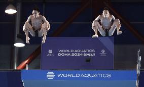 World aquatics championships