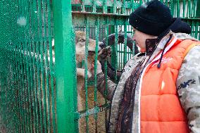 Wild Animals Rescue Center in Kyiv region