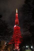 JAPAN-TOKYO-TOKYO TOWER-CHINESE NEW YEAR-ILLUMINATION