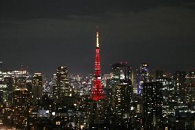 JAPAN-TOKYO-TOKYO TOWER-CHINESE NEW YEAR-ILLUMINATION