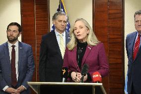 US Congress delegation gives press briefing in Kyiv