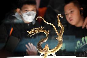Xinhua Headlines: Chinese embrace Year of the Dragon with aspiration, vitality