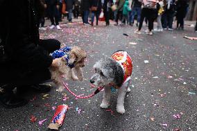 Chinese New Year Celebrations