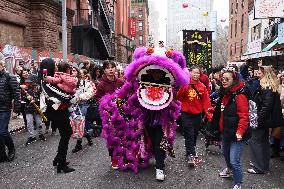 Chinese New Year Celebrations