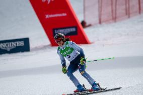 Audi FIS Alpine Ski World Cup 2024 Women's Giant Slalom