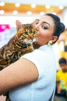 60th & 61st Championship Cat Show In Ahmedabad