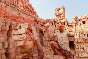Workers In A Brick Field - Bangladesh