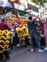 Chinese New Year Of The Wooden Dragon Celebration