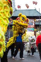 Chinese New Year Of The Wooden Dragon Celebration