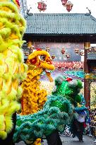 Chinese New Year Of The Wooden Dragon Celebration