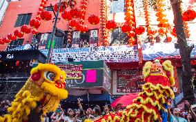 Chinese New Year Of The Wooden Dragon Celebration