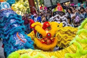 Chinese New Year Of The Wooden Dragon Celebration