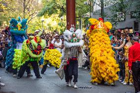 Chinese New Year Of The Wooden Dragon Celebration