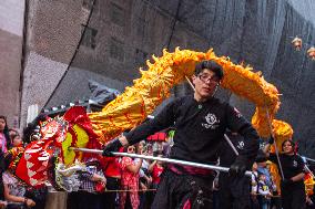 Chinese New Year Of The Wooden Dragon Celebration