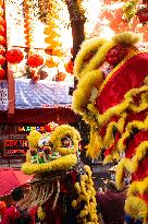 Chinese New Year Of The Wooden Dragon Celebration