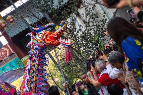 Chinese New Year Of The Wooden Dragon Celebration