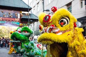 Chinese New Year Of The Wooden Dragon Celebration