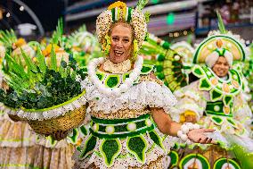 Brazil Carnival 2024