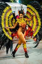 Brazil Carnival 2024