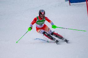 Audi FIS Alpine Ski World Cup 2024