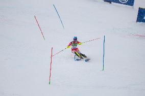 Audi FIS Alpine Ski World Cup 2024