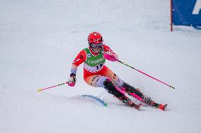 Audi FIS Alpine Ski World Cup 2024