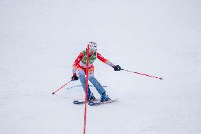 Audi FIS Alpine Ski World Cup 2024