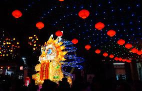 (ShandongHorizon) CHINA-SHANDONG-JINAN-SPRING FESTIVAL-LANTERNS (CN)