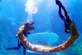 Qingdao Underwater World Performance