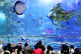 Qingdao Underwater World Performance