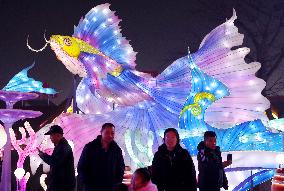 Colored Lights in Qingdao