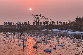 #CHINA-SPRING FESTIVAL-HOLIDAY (CN)