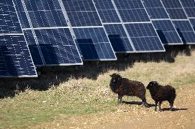 Solar Photovoltaic Park - Marcoussis