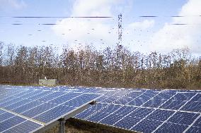 Solar Photovoltaic Park - Marcoussis