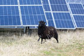 Solar Photovoltaic Park - Marcoussis