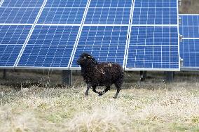 Solar Photovoltaic Park - Marcoussis