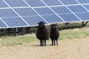 Solar Photovoltaic Park - Marcoussis