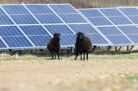 Solar Photovoltaic Park - Marcoussis