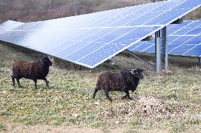 Solar Photovoltaic Park - Marcoussis