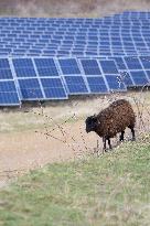 Solar Photovoltaic Park - Marcoussis