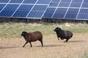 Solar Photovoltaic Park - Marcoussis