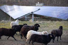 Solar Photovoltaic Park - Marcoussis