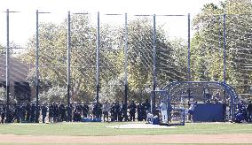 Baseball: MLB spring training